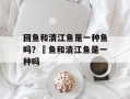 回鱼和清江鱼是一种鱼吗？鮰鱼和清江鱼是一种吗