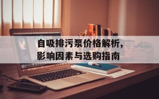 自吸排污泵价格解析,影响因素与选购指南