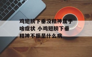 鸡翅膀下垂没精神属于啥症状 小鸡翅膀下垂精神不振是什么病