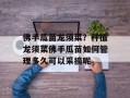 佛手瓜苗龙须菜？种植龙须菜佛手瓜苗如何管理多久可以采摘呢