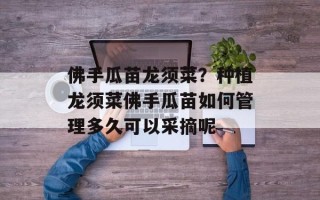 佛手瓜苗龙须菜？种植龙须菜佛手瓜苗如何管理多久可以采摘呢