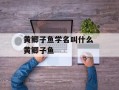 黄鲫子鱼学名叫什么 黄鲫子鱼