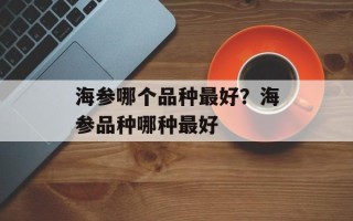 海参哪个品种最好？海参品种哪种最好