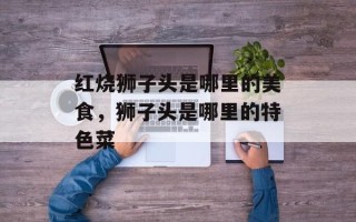 红烧狮子头是哪里的美食，狮子头是哪里的特色菜
