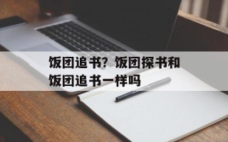 饭团追书？饭团探书和饭团追书一样吗
