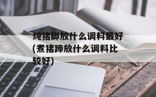 炖猪脚放什么调料最好(煮猪蹄放什么调料比较好)