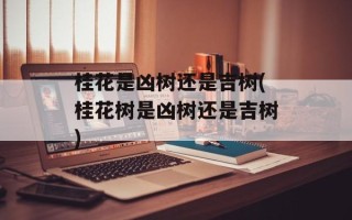 桂花是凶树还是吉树(桂花树是凶树还是吉树)