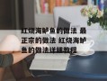 红烧海鲈鱼的做法 最正宗的做法 红烧海鲈鱼的做法详细教程