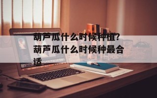 葫芦瓜什么时候种植？葫芦瓜什么时候种最合适
