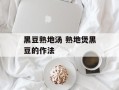 黑豆熟地汤 熟地煲黑豆的作法