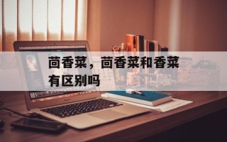 茴香菜，茴香菜和香菜有区别吗