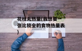 花枝丸热量(我想要一张比较全的食物热量表)