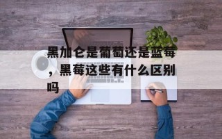 黑加仑是葡萄还是蓝莓，黑莓这些有什么区别吗