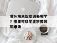 黄焖鸡米饭培训去哪学？哪里可以学正宗黄焖鸡米饭