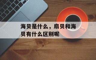 海贝是什么，扇贝和海贝有什么区别呢