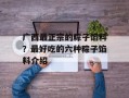 广西最正宗的粽子馅料？最好吃的六种粽子馅料介绍