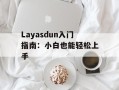 Layasdun入门指南：小白也能轻松上手