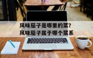 风味茄子是哪里的菜？风味茄子属于哪个菜系