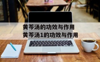 黄芩汤的功效与作用 黄芩汤1的功效与作用