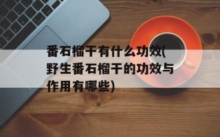 番石榴干有什么功效(野生番石榴干的功效与作用有哪些)