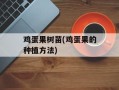 鸡蛋果树苗(鸡蛋果的种植方法)