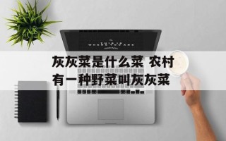 灰灰菜是什么菜 农村有一种野菜叫灰灰菜
