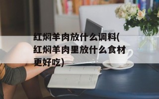 红焖羊肉放什么调料(红焖羊肉里放什么食材更好吃)