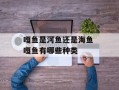 嘎鱼是河鱼还是海鱼 嘎鱼有哪些种类