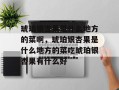 琥珀银杏果是什么地方的菜啊，琥珀银杏果是什么地方的菜吃琥珀银杏果有什么好