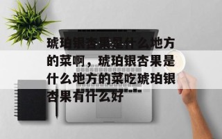 琥珀银杏果是什么地方的菜啊，琥珀银杏果是什么地方的菜吃琥珀银杏果有什么好