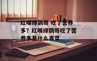 红嘴绿鹦哥 吃了营养多？红嘴绿鹦哥吃了营养多是什么青菜