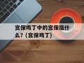 宫保鸡丁中的宫保指什么？(宫保鸡丁)