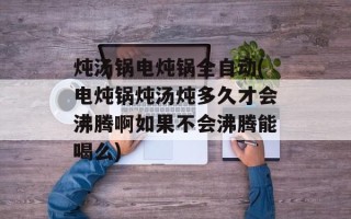 炖汤锅电炖锅全自动(电炖锅炖汤炖多久才会沸腾啊如果不会沸腾能喝么)