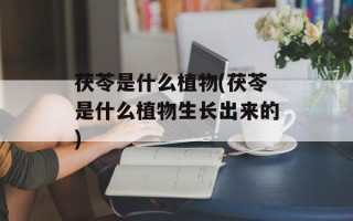 茯苓是什么植物(茯苓是什么植物生长出来的)
