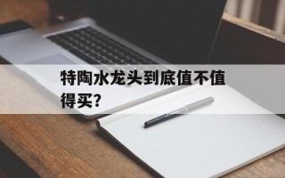 特陶水龙头到底值不值得买？