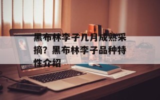 黑布林李子几月成熟采摘？黑布林李子品种特性介绍