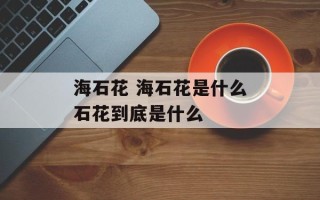 海石花 海石花是什么石花到底是什么