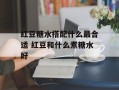 红豆糖水搭配什么最合适 红豆和什么煮糖水好