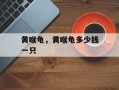 黄喉龟，黄喉龟多少钱一只