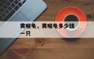 黄喉龟，黄喉龟多少钱一只