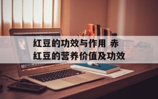 红豆的功效与作用 赤红豆的营养价值及功效