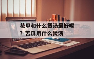 花甲和什么煲汤最好喝？苦瓜用什么煲汤