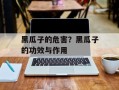 黑瓜子的危害？黑瓜子的功效与作用