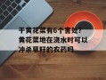 干黄花菜有6个害处？黄花菜地在浇水时可以冲杀草籽的农药吗