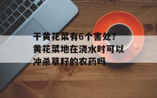 干黄花菜有6个害处？黄花菜地在浇水时可以冲杀草籽的农药吗