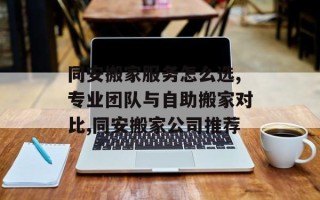 同安搬家服务怎么选,专业团队与自助搬家对比,同安搬家公司推荐