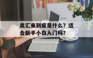 泉汇来到底是什么？适合新手小白入门吗？