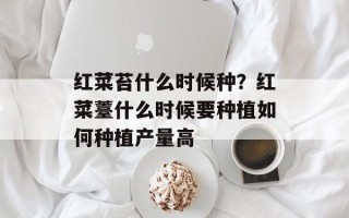 红菜苔什么时候种？红菜薹什么时候要种植如何种植产量高