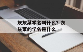 灰灰菜学名叫什么？灰灰菜的学名是什么