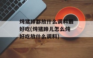 炖猪蹄都放什么调料更好吃(炖猪蹄儿怎么炖好吃放什么调料)